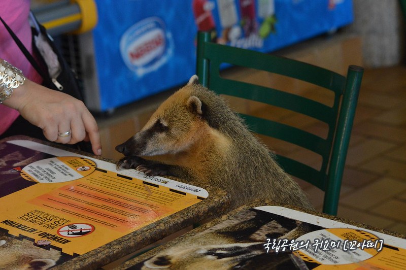 Galería de imágenes en miniatura