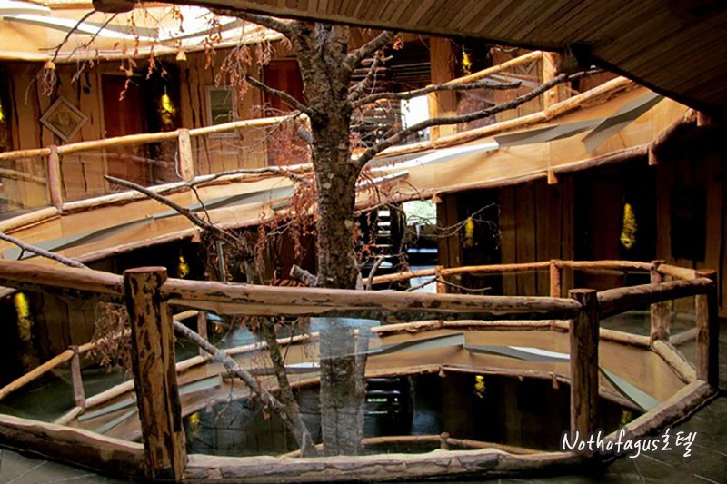 Galería de imágenes en miniatura