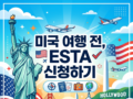 🇺🇸 미국 여행 전, ESTA 신청하기 🗽